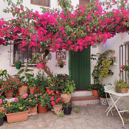 La Buganvilla De Juana Y Antonio Casares Bagian luar foto