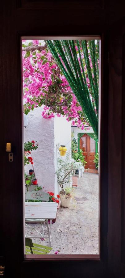 La Buganvilla De Juana Y Antonio Casares Bagian luar foto