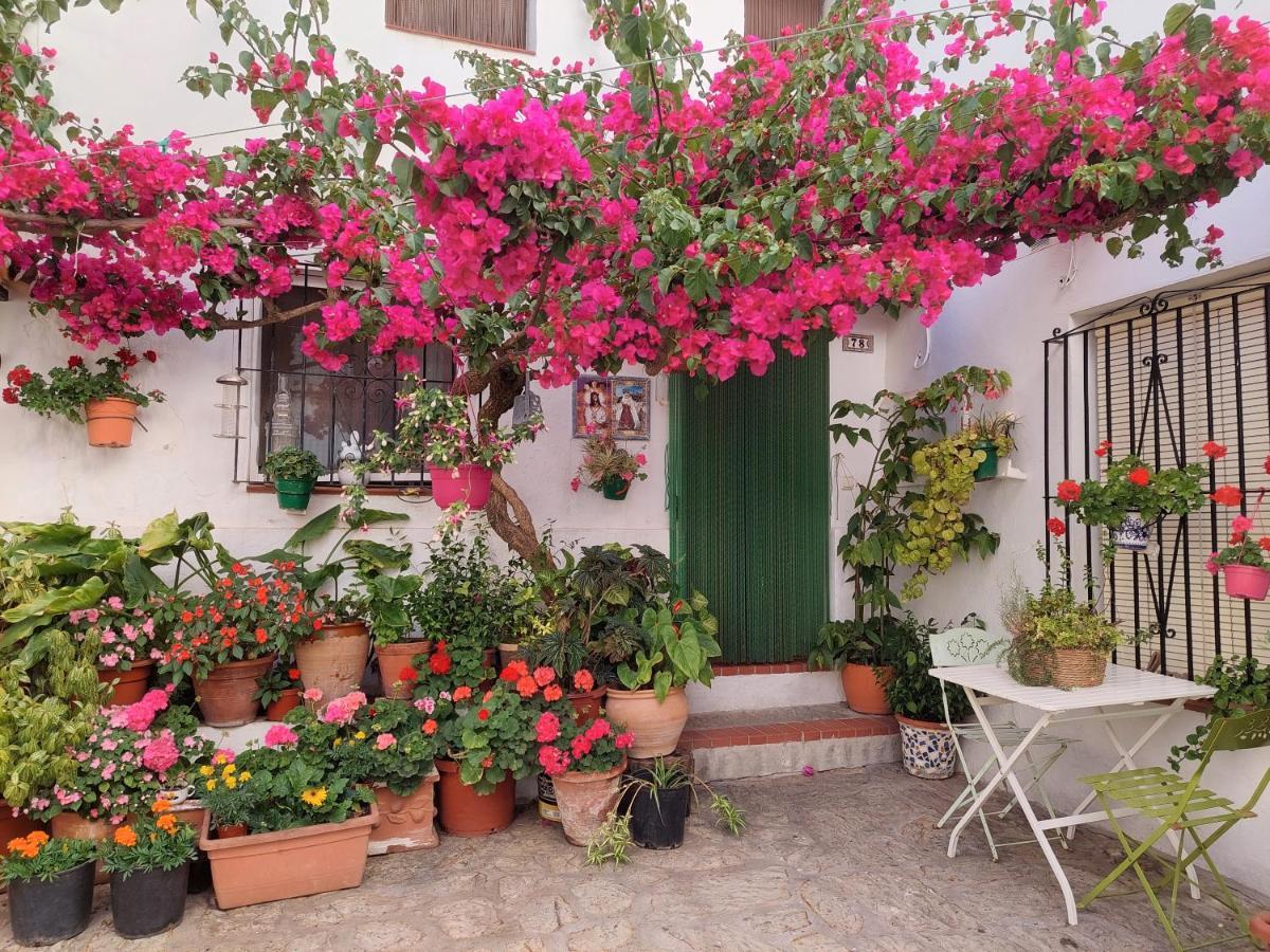 La Buganvilla De Juana Y Antonio Casares Bagian luar foto